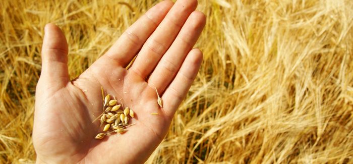 Networking Yarışında Çiftçiler Her Zaman Avcıları Yener!